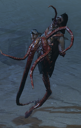 Defeat Packs of Brine Vassals PoE